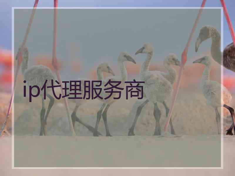 ip代理服务商