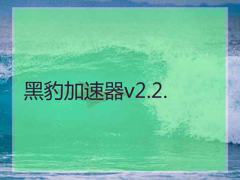 黑豹加速器v2.2.