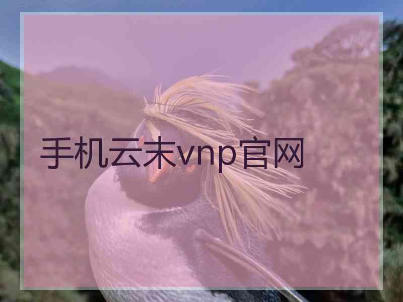 手机云末vnp官网