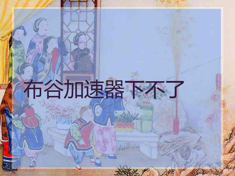 布谷加速器下不了