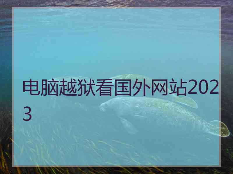 电脑越狱看国外网站2023