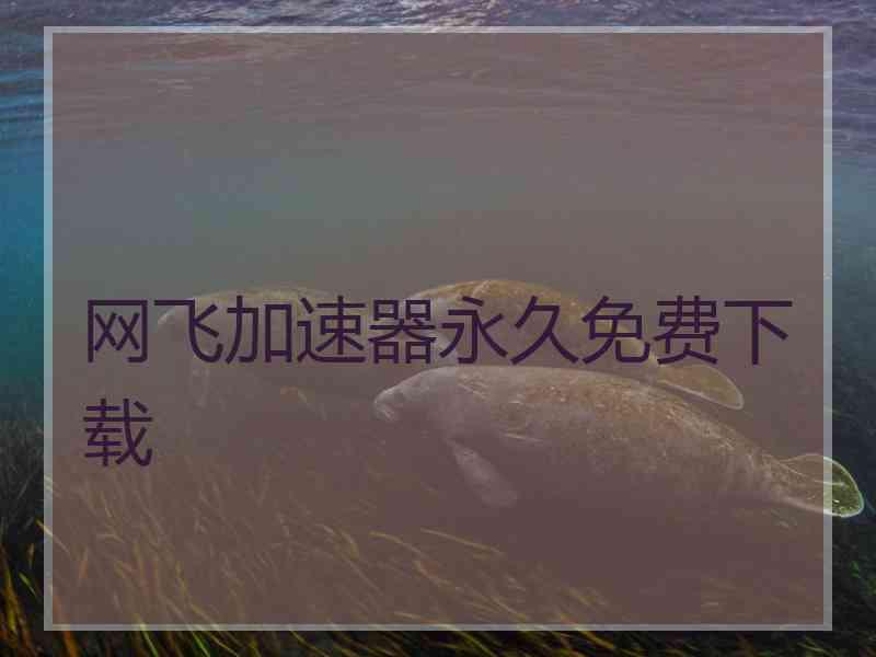 网飞加速器永久免费下载