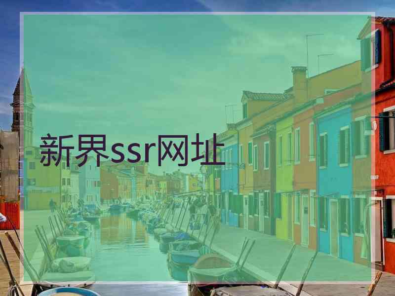 新界ssr网址