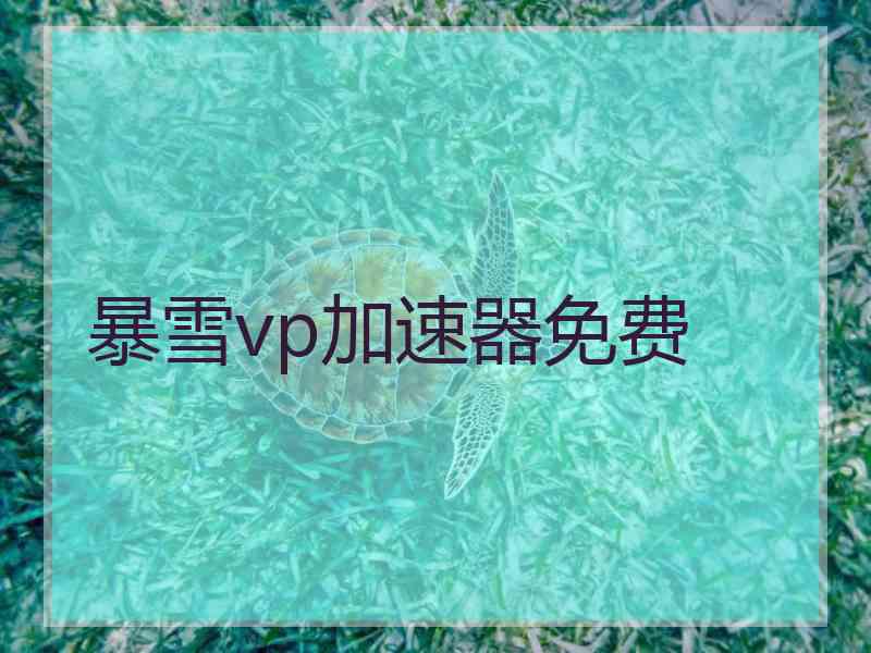 暴雪vp加速器免费