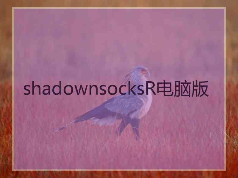 shadownsocksR电脑版