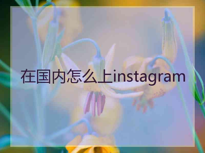 在国内怎么上instagram