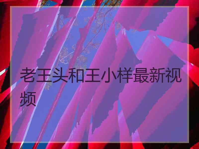 老王头和王小样最新视频