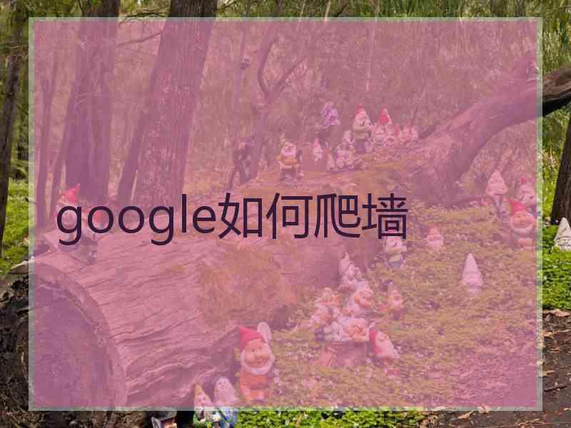 google如何爬墙