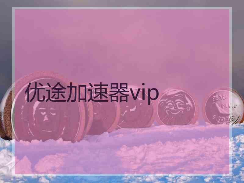 优途加速器vip