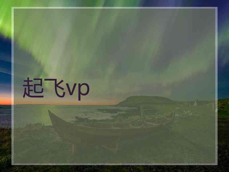 起飞vp