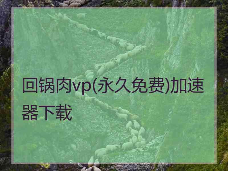 回锅肉vp(永久免费)加速器下载