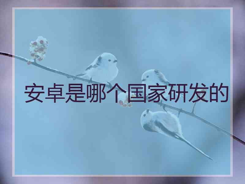 安卓是哪个国家研发的