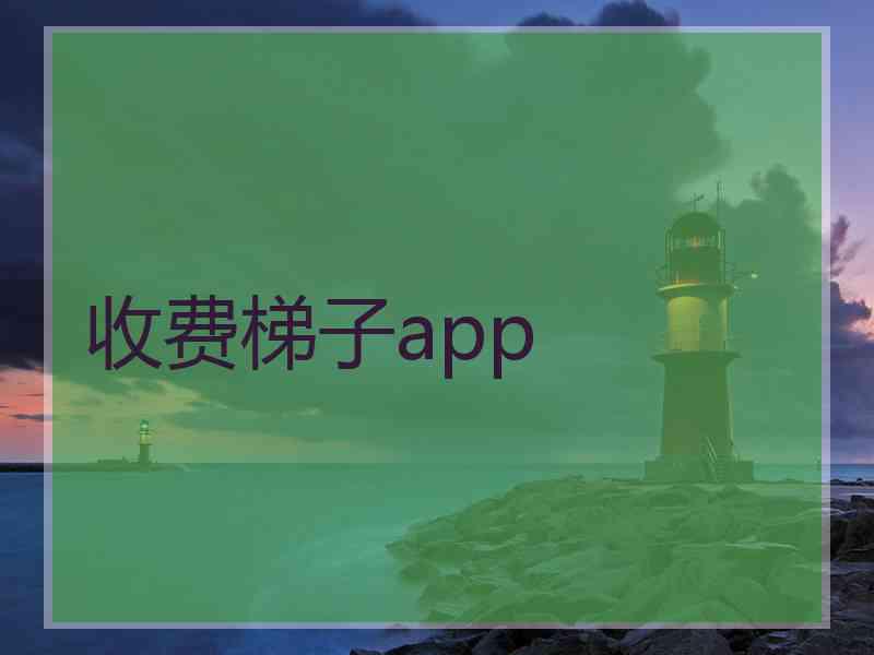 收费梯子app