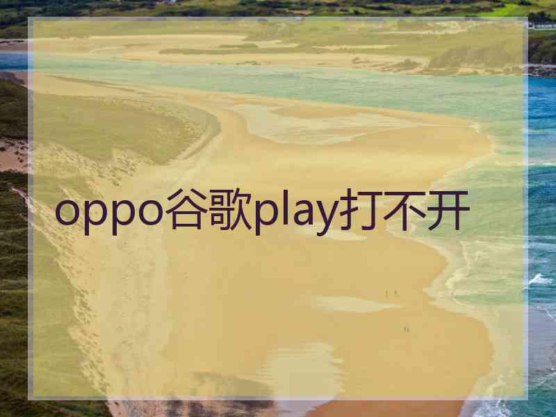 oppo谷歌play打不开