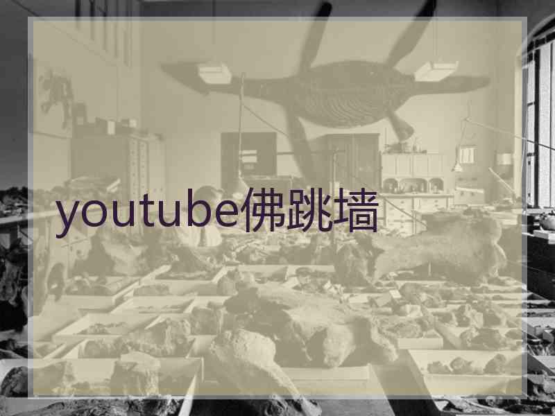 youtube佛跳墙