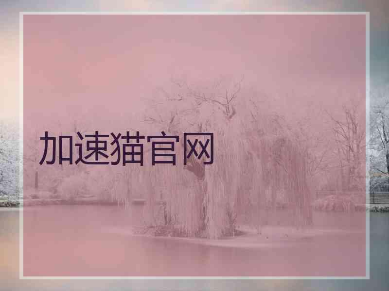 加速猫官网