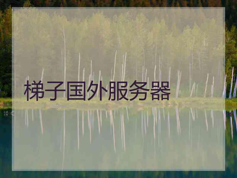 梯子国外服务器