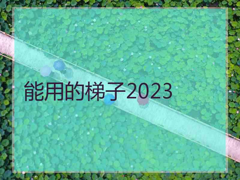 能用的梯子2023