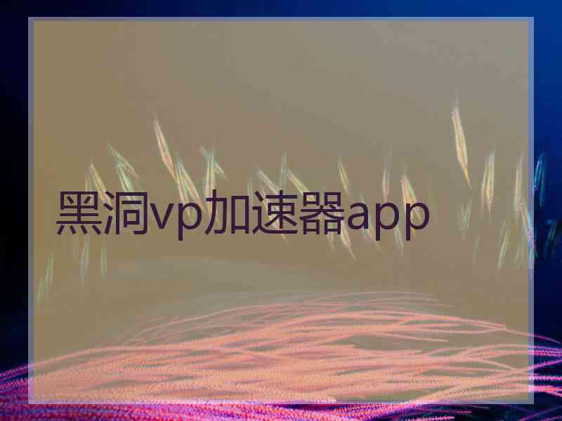 黑洞vp加速器app