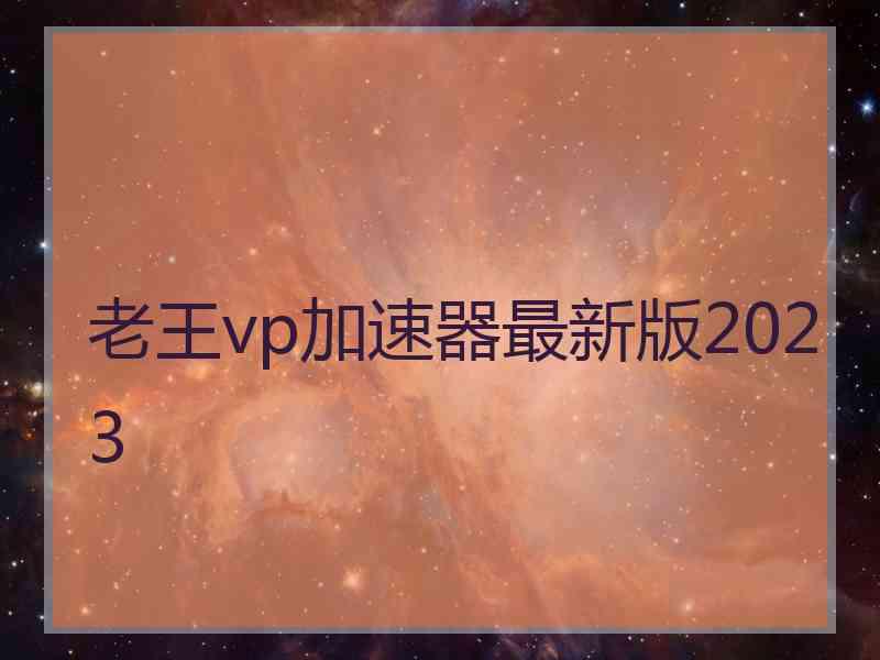 老王vp加速器最新版2023