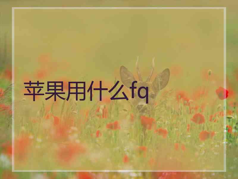 苹果用什么fq