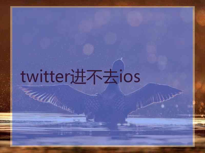 twitter进不去ios