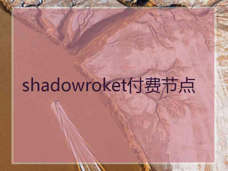 shadowroket付费节点