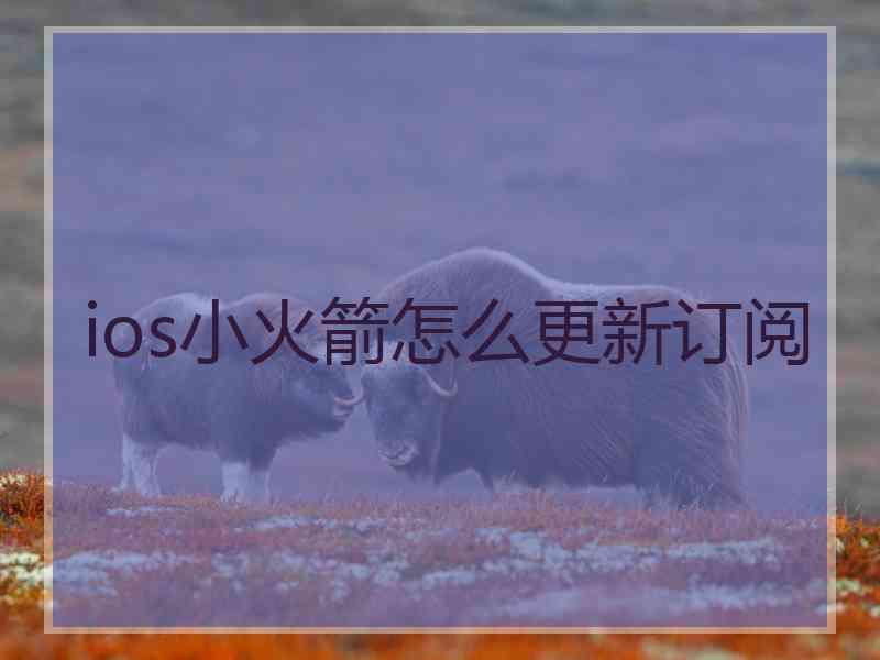 ios小火箭怎么更新订阅