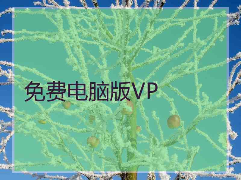 免费电脑版VP