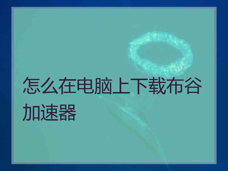 怎么在电脑上下载布谷加速器