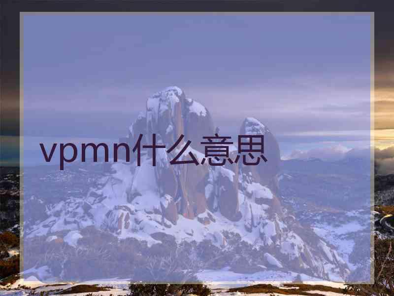 vpmn什么意思