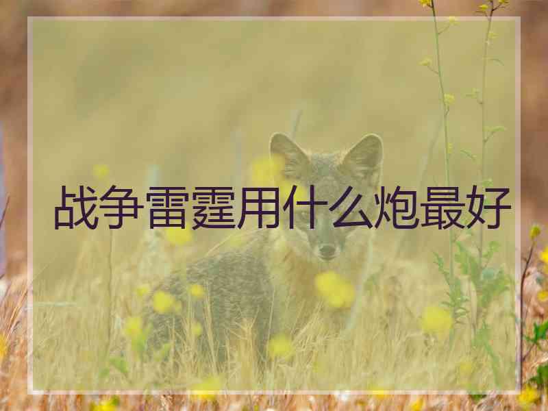 战争雷霆用什么炮最好