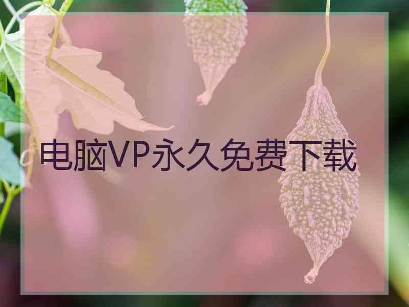 电脑VP永久免费下载