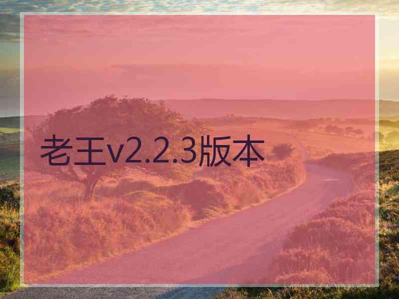 老王v2.2.3版本