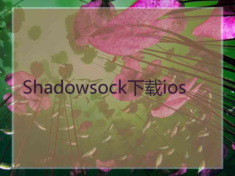 Shadowsock下载ios