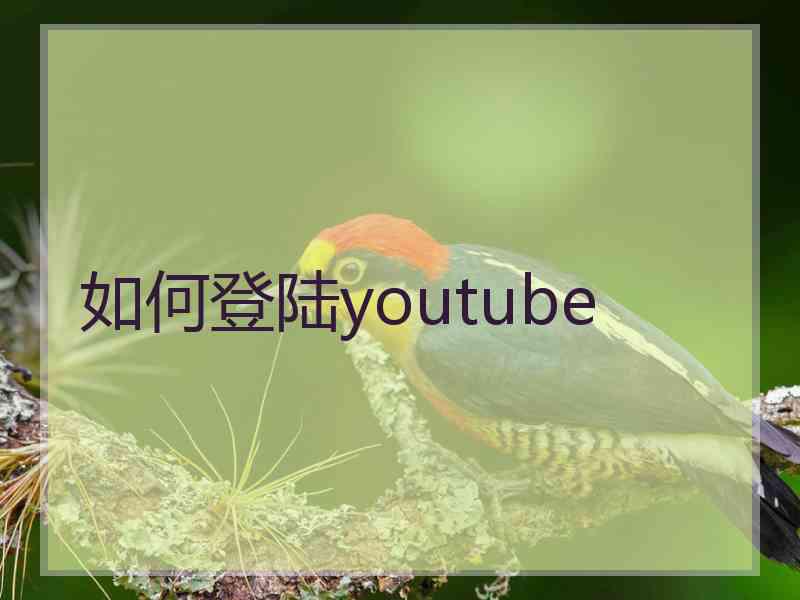 如何登陆youtube