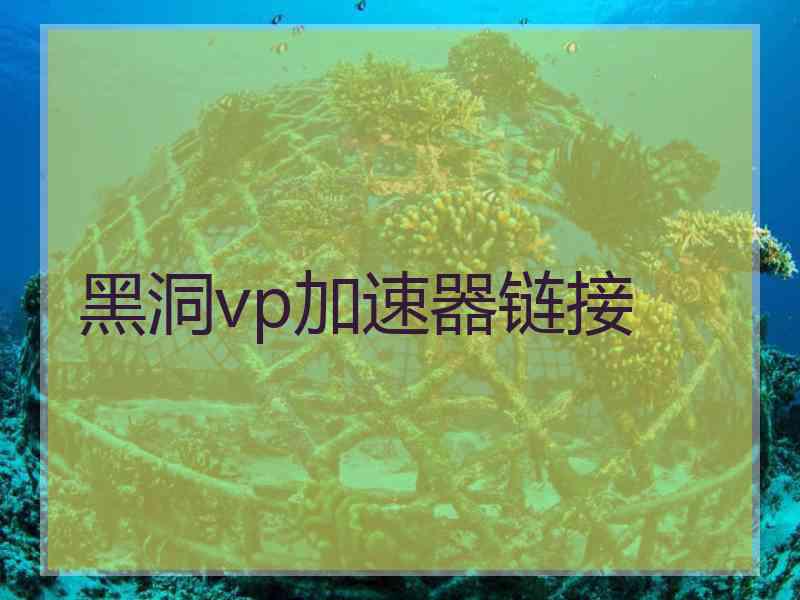 黑洞vp加速器链接