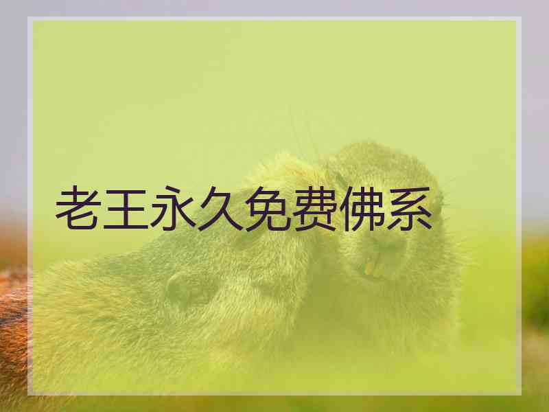 老王永久免费佛系