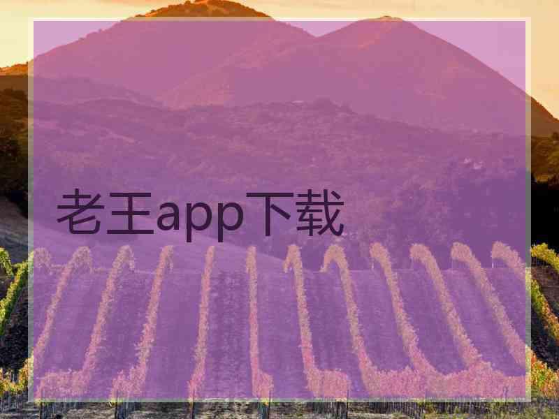 老王app下载