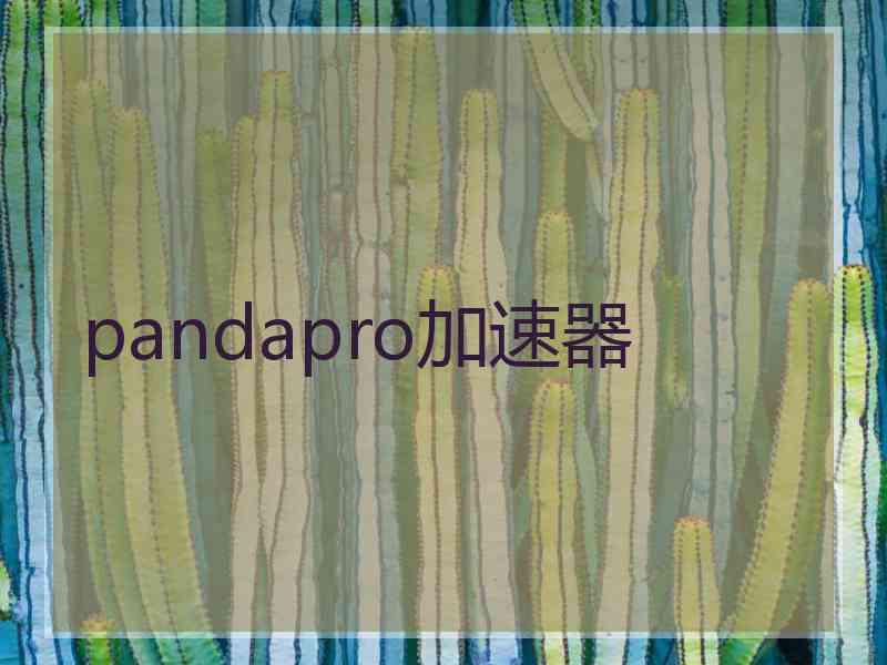 pandapro加速器