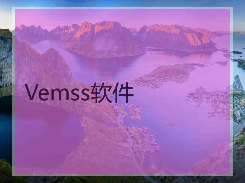 Vemss软件