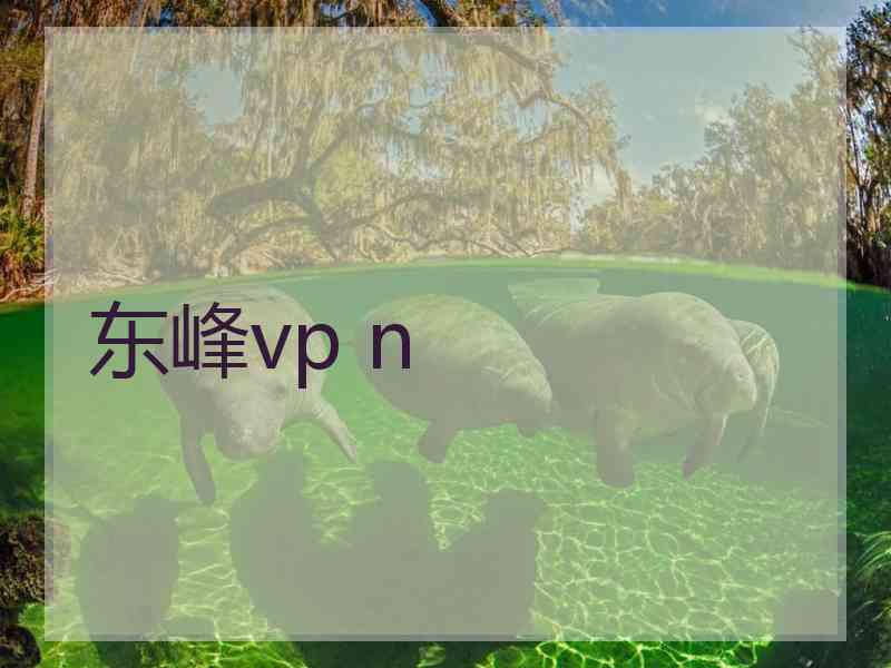 东峰vp n