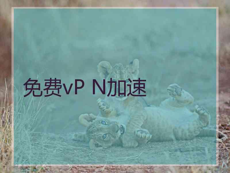 免费vP N加速