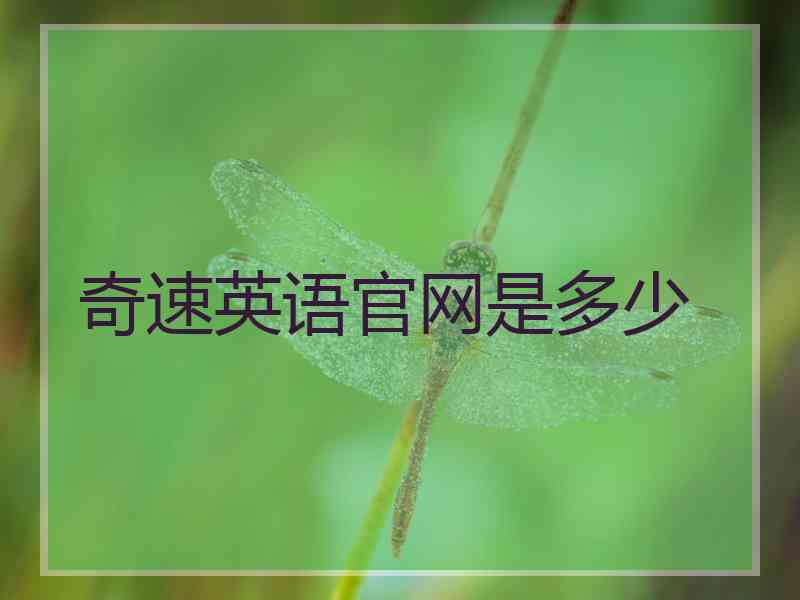 奇速英语官网是多少