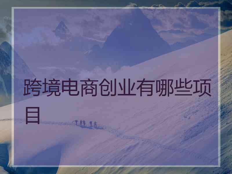 跨境电商创业有哪些项目