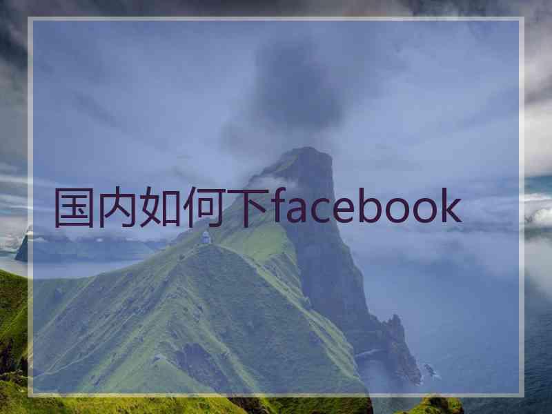 国内如何下facebook