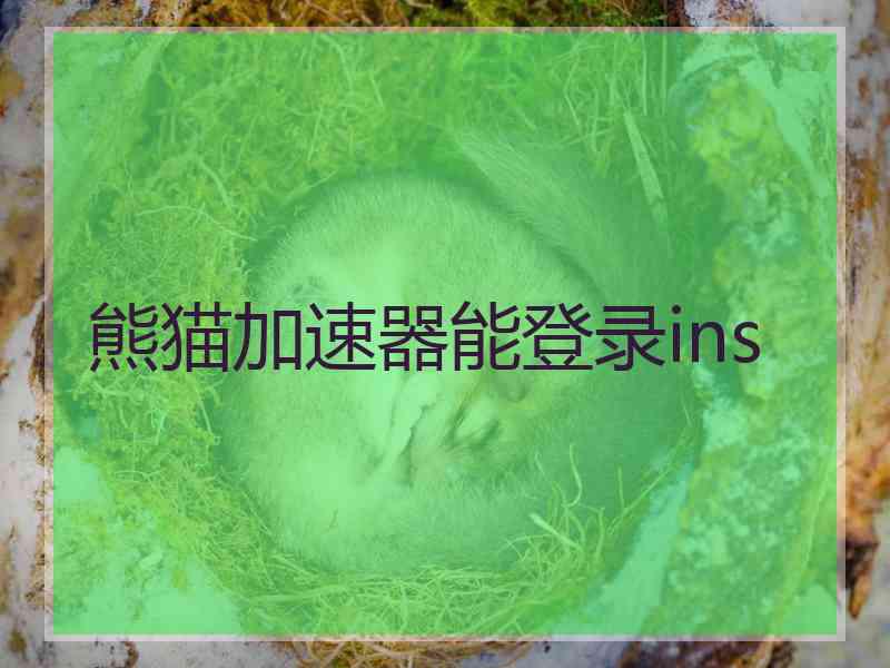 熊猫加速器能登录ins