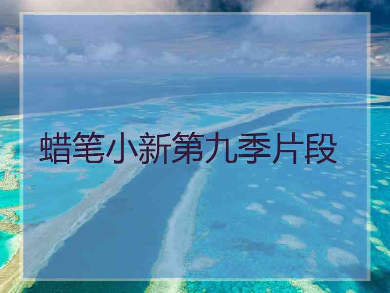 蜡笔小新第九季片段
