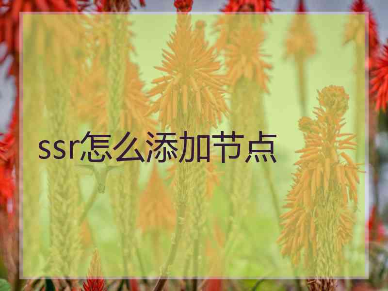 ssr怎么添加节点