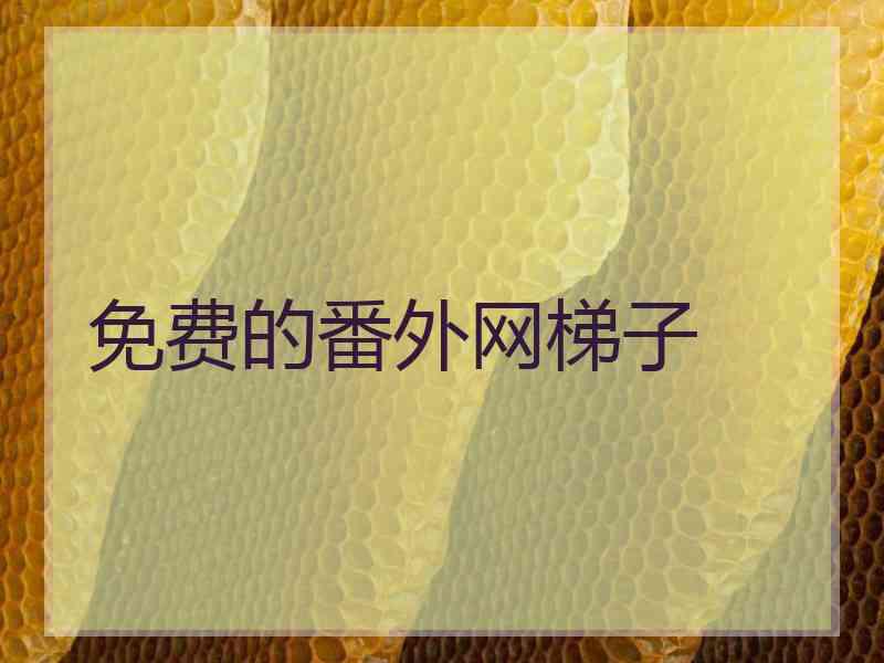 免费的番外网梯子